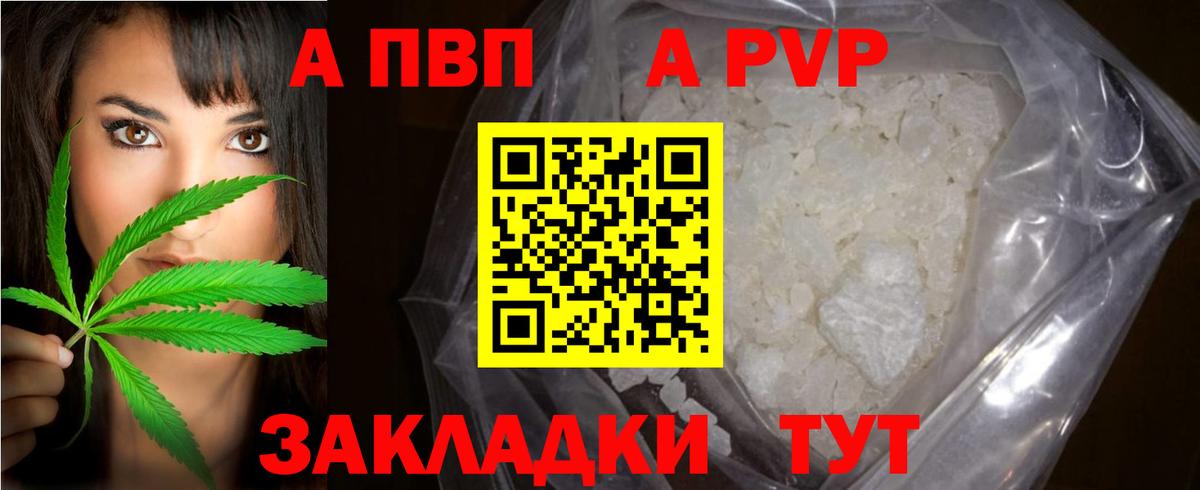 Альфа ПВП СК КРИС Геленджик