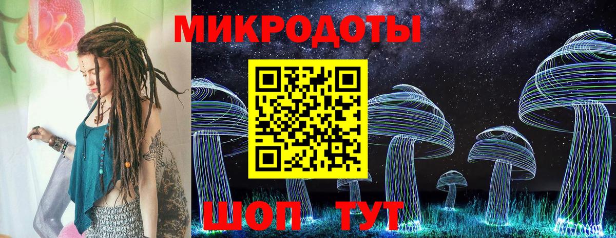 Псилоцибиновые грибы Psilocybe Геленджик